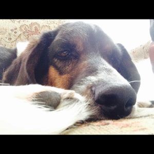 Meet your Posher, Evan